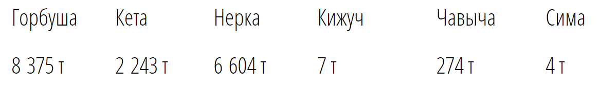 28.png