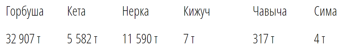 29.png