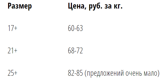 31.png