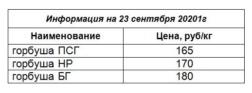 3 (1).jpg