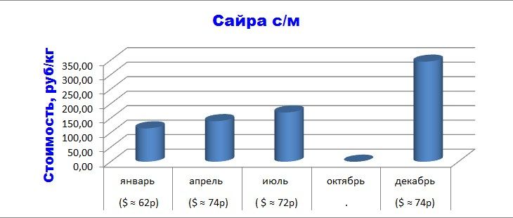 Sayra.jpg